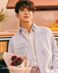 Seventeen Joshua Your Choice