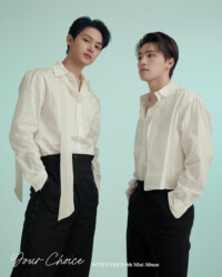 Seventeen Your Choice Teaser Unit