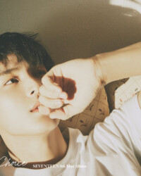 Seventeen Mingyu Your Choice