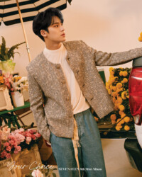 Seventeen Mingyu Your Choice