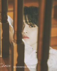 Seventeen S.Coups Your Choice