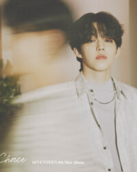 Seventeen S.Coups Your Choice