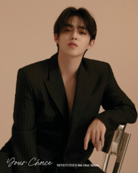 Seventeen S.Coups Your Choice