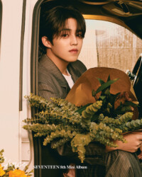 Seventeen S.Coups Your Choice