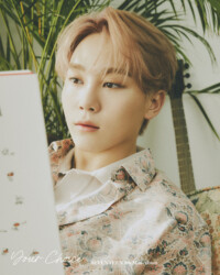 Seventeen Seungkwan Your Choice