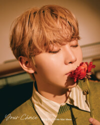 Seventeen Seungkwan Your Choice