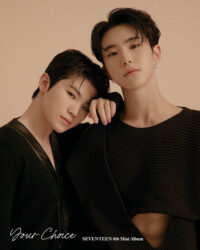 Seventeen Your Choice Teaser Unit