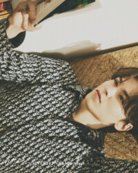 Seventeen Vernon Your Choice