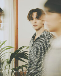 Seventeen Vernon Your Choice
