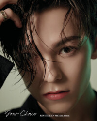 Seventeen Vernon Your Choice
