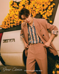 Seventeen Vernon Your Choice