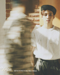Seventeen Wonwoo Your Choice