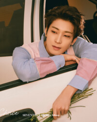 Seventeen Wonwoo Your Choice