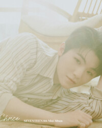 Seventeen Woozi Your Choice