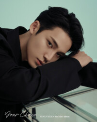 Seventeen Mingyu Your Choice