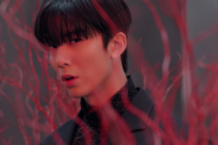 Hwiyoung SF9 Tear Drop SF9 Hwiyoung Tear Drop