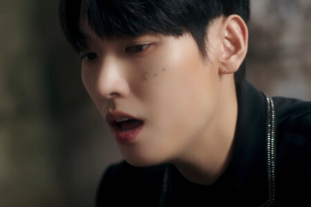 Inseong SF9 Tear Drop SF9 Inseong Tear Drop