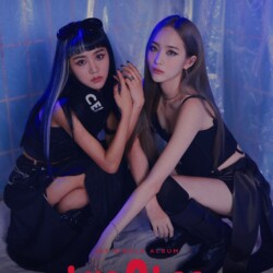 bugAboo bugAboo Teaser Unit bugAboo bugAboo Teaser Unit