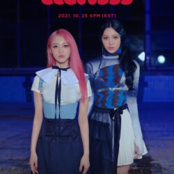 bugAboo bugAboo Teaser Unit bugAboo bugAboo Teaser Unit