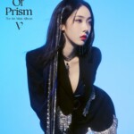 VIVIZ SinB Beam of Prism Teaser Stand ver. VIVIZ SinB Beam of Prism Teaser Stand ver.