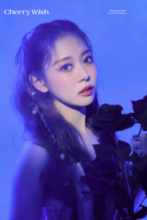 Cherry Bullet Bora Cherry Wish Teaser