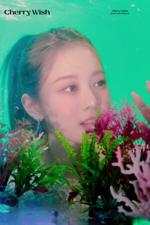 Cherry Bullet Bora Cherry Wish Teaser
