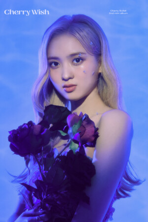 Cherry Bullet May Cherry Wish Teaser