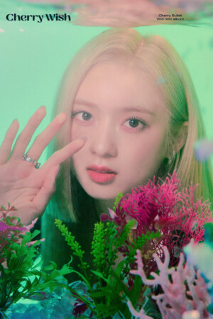 Cherry Bullet May Cherry Wish Teaser