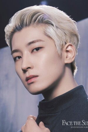 Wonwoo SEVENTEEN Face the Sun Teaser 1