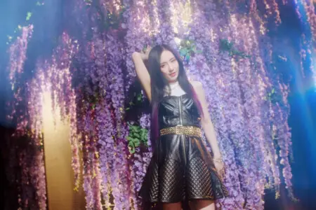 Jieun Purple Kiss memeM Jieun Purple Kiss memeM