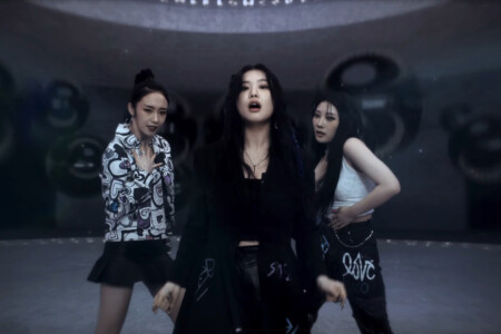 Swan Purple Kiss memeM Swan Purple Kiss memeM