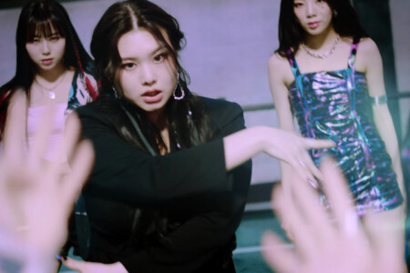 Swan Purple Kiss memeM Swan Purple Kiss memeM