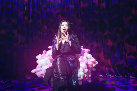 Swan Purple Kiss memeM Swan Purple Kiss memeM