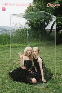 Chobom Copycat Teaser Group Chobom Copycat Teaser Group