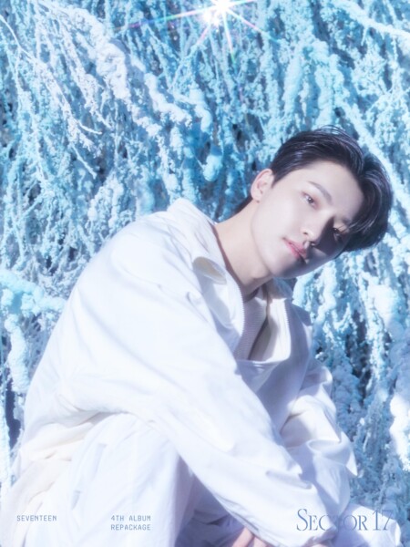 SEVENTEEN Dino Sector 17 New Heights Teaser