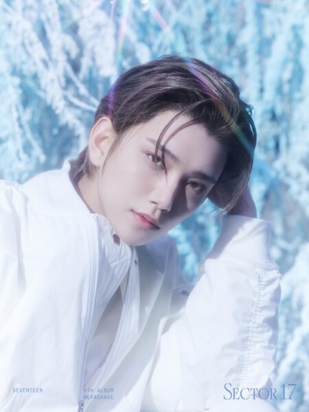 SEVENTEEN Joshua Sector 17 New Heights Teaser