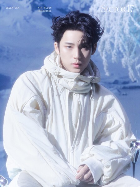 SEVENTEEN Mingyu Sector 17 New Heights Teaser