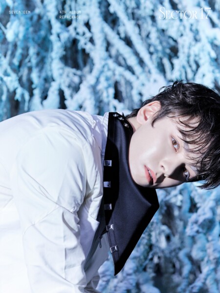 SEVENTEEN Vernon Sector 17 New Heights Teaser