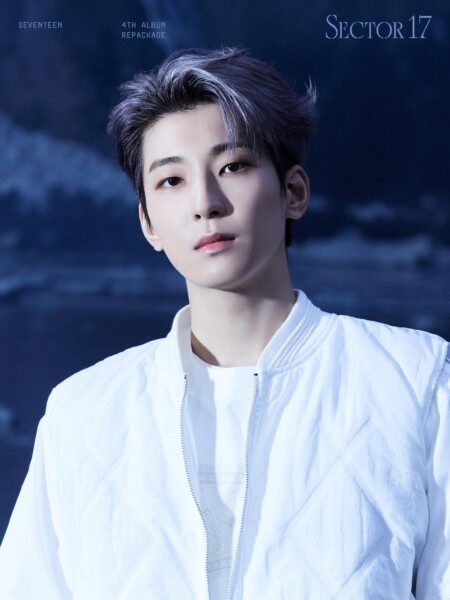 SEVENTEEN Wonwoo Sector 17 New Heights Teaser