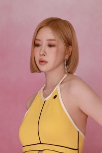 Dayoung WJSN Sequence Naver Post HR