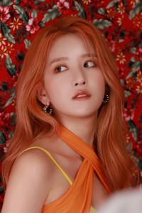 EXY WJSN Sequence Naver Post HR