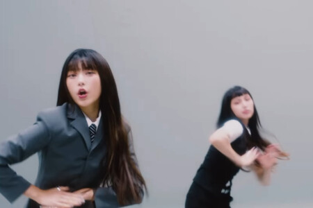 NewJeans Cookie Haerin NewJeans Cookie Haerin