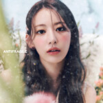 Sakura LE SSERAFIM Antifragile Teaser - Frozen Aquamarine Sakura LE SSERAFIM Antifragile Teaser Frozen Aquamarine