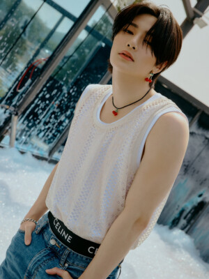 Stray Kids MAXIDENT Concept I.N Stray Kids MAXIDENT Concept I.N