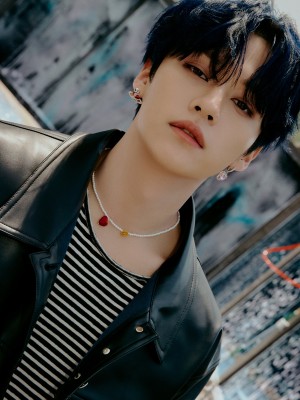 Stray Kids MAXIDENT Concept Lee Know