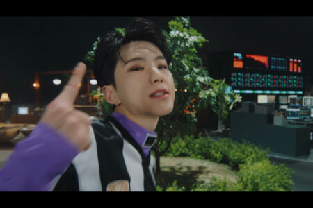 BSS (Seventeen) Fighting Hoshi