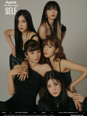 Apink Self Teaser Magazine ver. Group Apink Self Teaser Magazine ver. Group