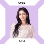 X:IN Aria Profile X:IN Aria Profile