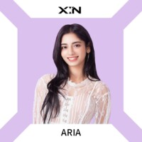 X:IN Aria Profile X:IN Aria Profile