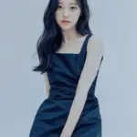 ARTMS Choerry Profile ARTMS Choerry Profile